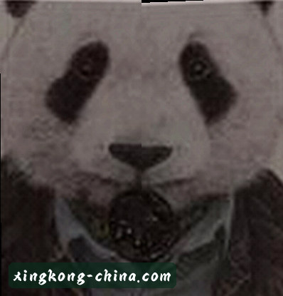 周婷
